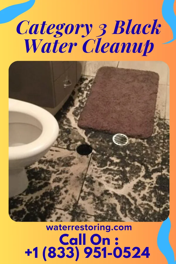Category 3 Black Water Cleanup in Cecil, GA