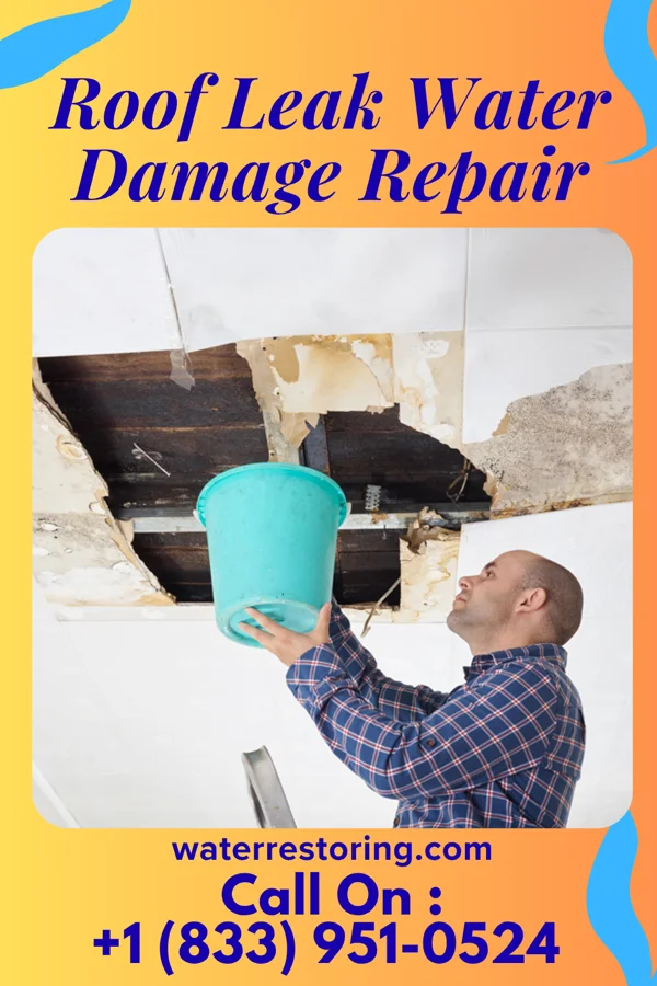 Roof Leak Water Damage Repair in Cecil, GA
